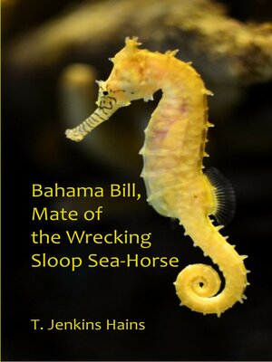 cover image of Bahama Bill, Mate of the Wrecking Sloop Sea-Horse
